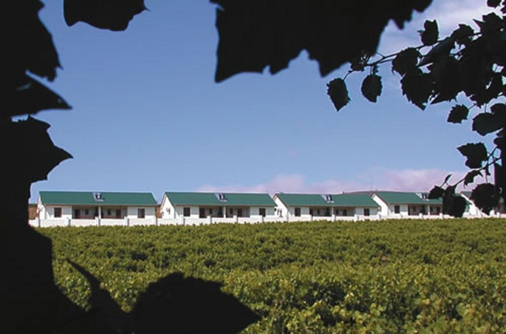 D'Aria Guest Cottages Durbanville Εξωτερικό φωτογραφία