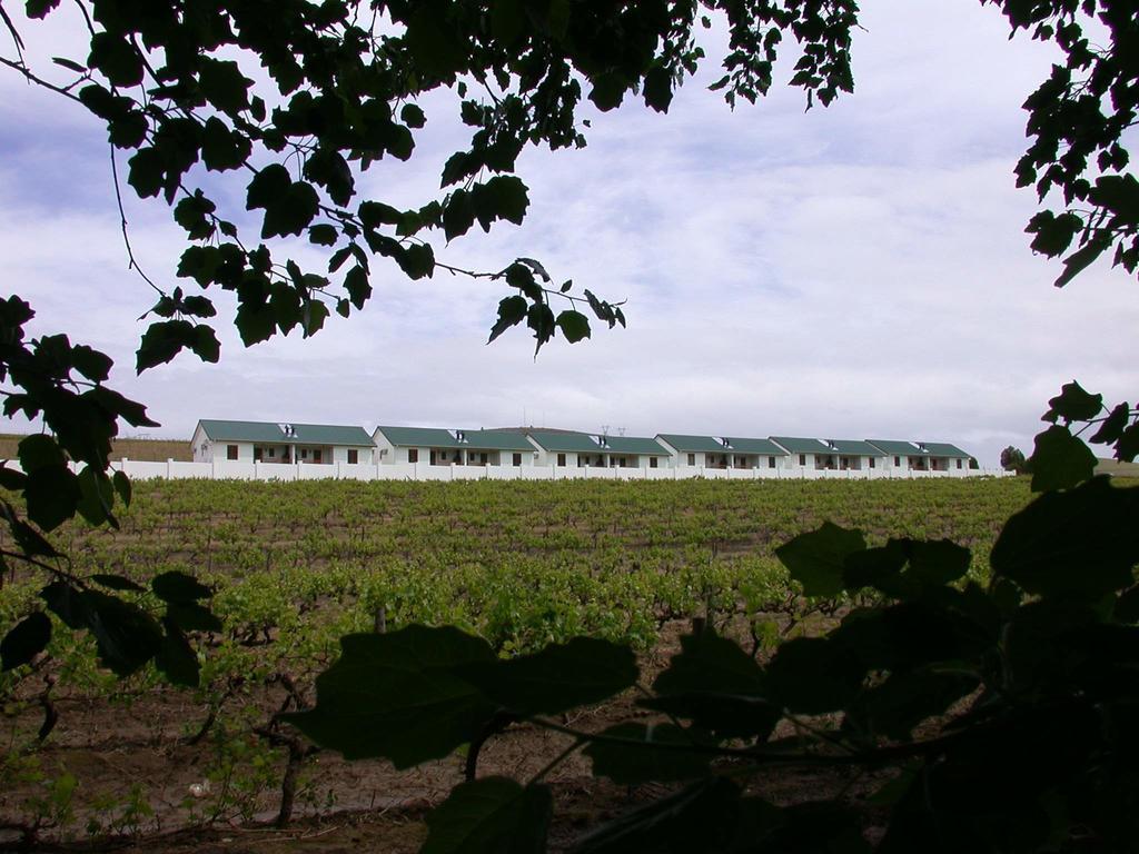 D'Aria Guest Cottages Durbanville Εξωτερικό φωτογραφία